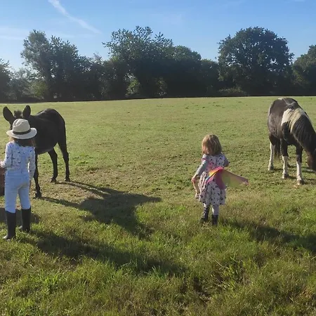 Eco-gite A La Ferme D'elles Дом отдыха