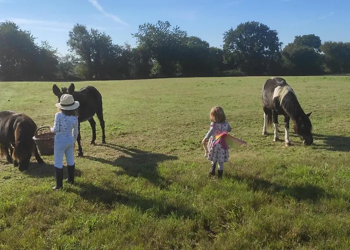 Eco-gîte à La Ferme D'elles Casa vacanze